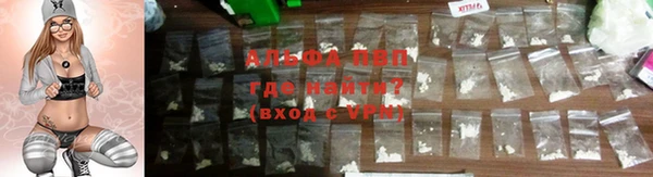 МДПВ Бородино