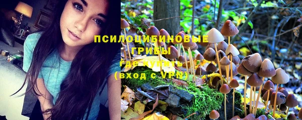 стаф Володарск