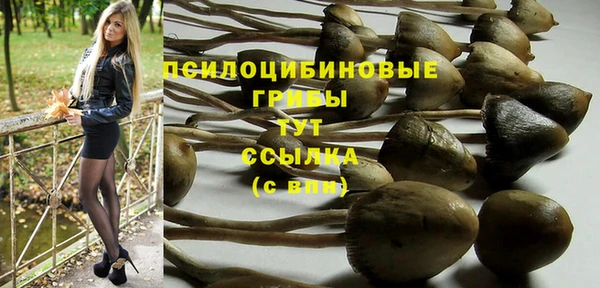 МДПВ Бородино