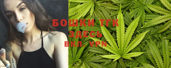МДПВ Бородино