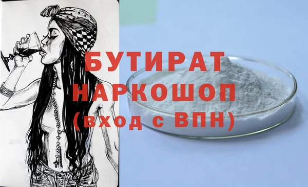 МДПВ Бородино